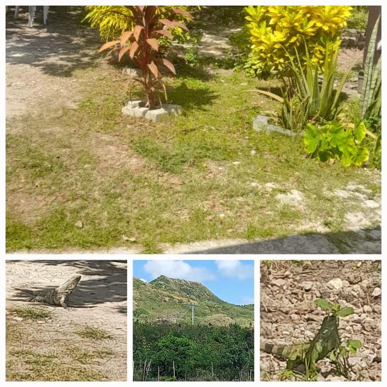 Nature View - Apartamento de 1 dormitorio con balcón - 17