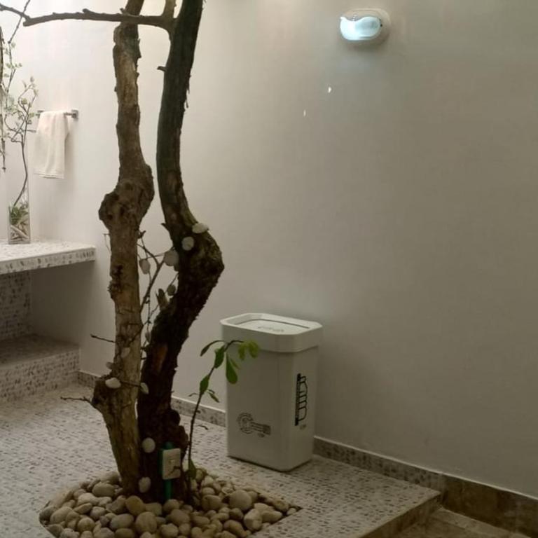 Accommodation on a coral island with turquoise sea - Eight-Bedroom House - 2