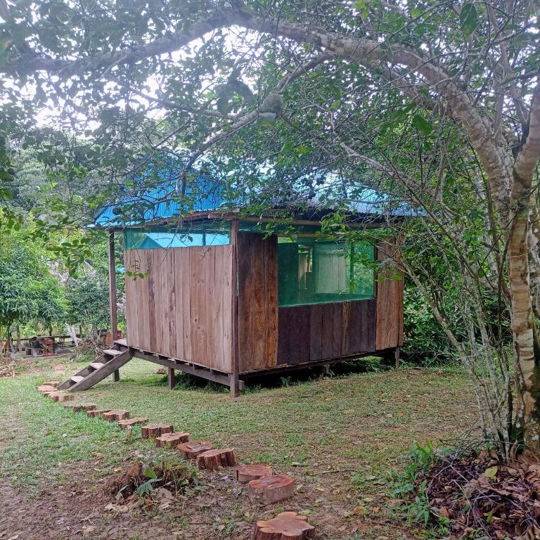 Panguana Lodge all included - Bungalow con vistas al jardín - 3