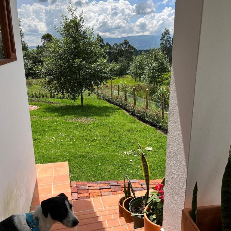 Casa Silvestre - Villa con vistas al jardín - 10