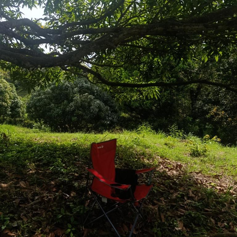 Ecoturismo Los Mangos - Casa de 4 dormitorios - 17