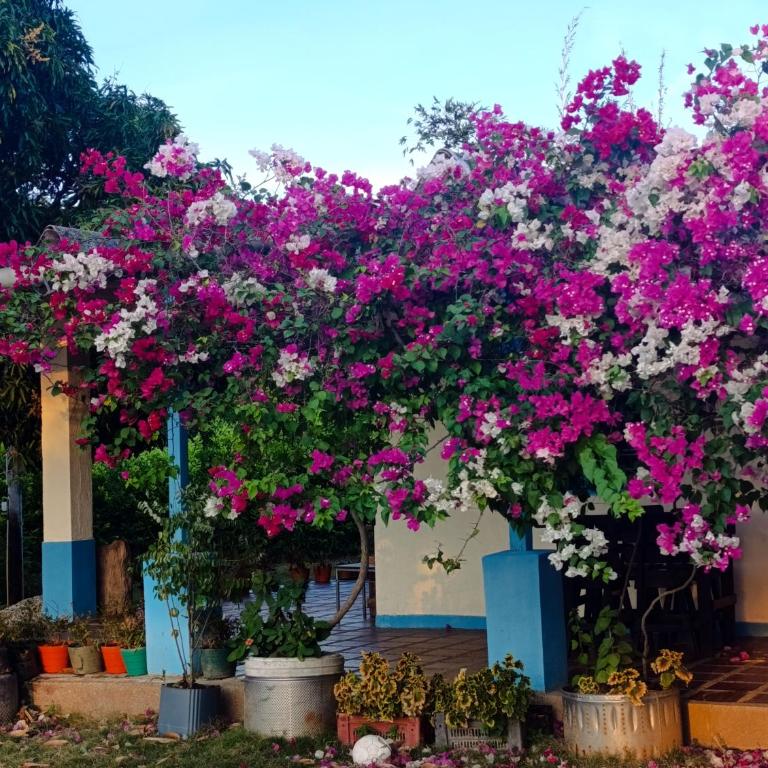 Ecoturismo Los Mangos - Casa de 4 dormitorios - 15