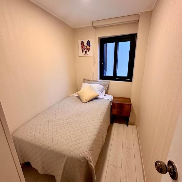 Departamento en Lince - Apartamento de 2 dormitorios - 24