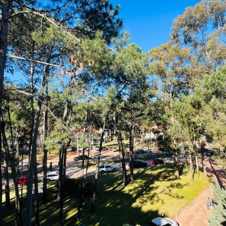 Expectacular apto de 2 ambientes con gran terraza con vistas - Apartamento de 1 dormitorio - 38