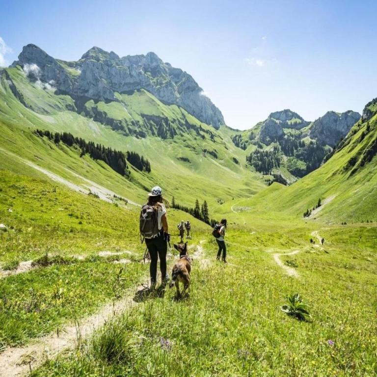 Apartment in Châtel with Stunning Valley Views - Appartement - 12