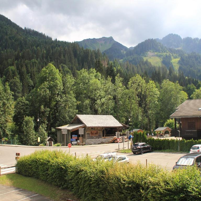 Apartment with hot tub in Chatel - Apartamento de 1 dormitorio - 20