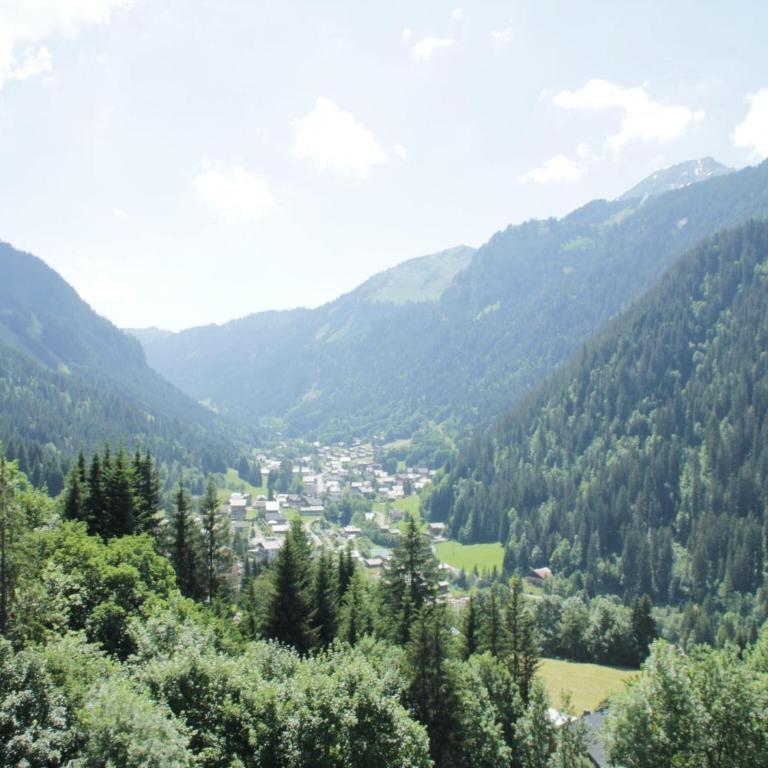 Apartment in Châtel near Lac de Vonnes - Apartamento de 1 dormitorio - 10