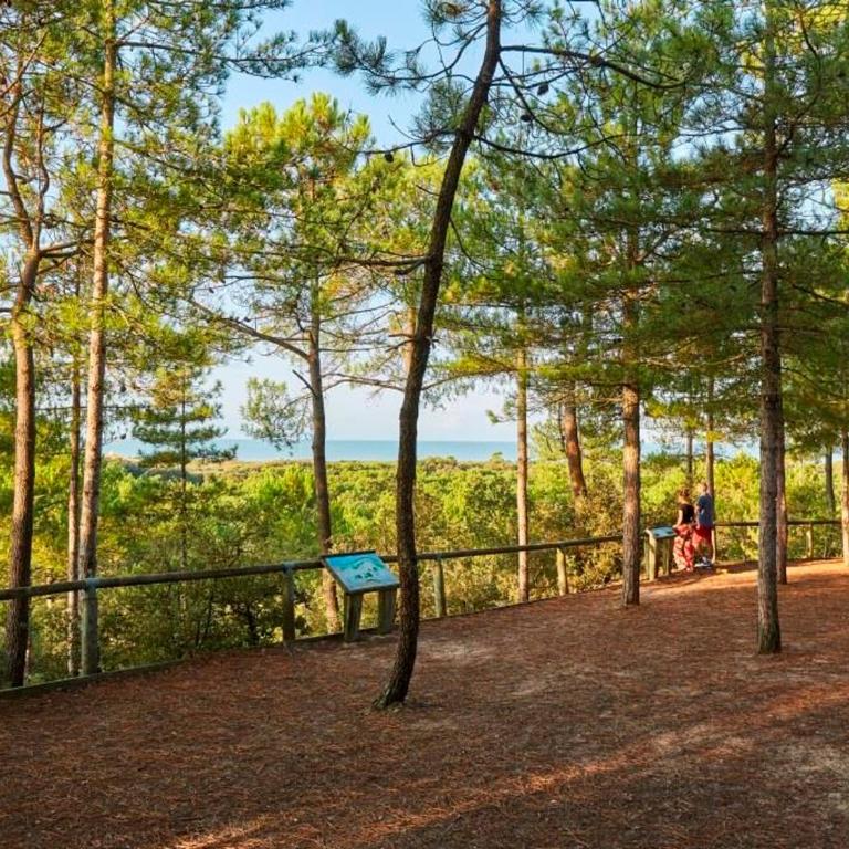 Appartement balcon vue mer - 4 pers. - FR-1-323-600 - Apartamento - 24