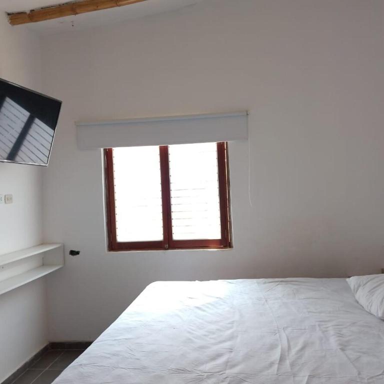 Casa los Pinos - Apartamento de 2 dormitorios - 6