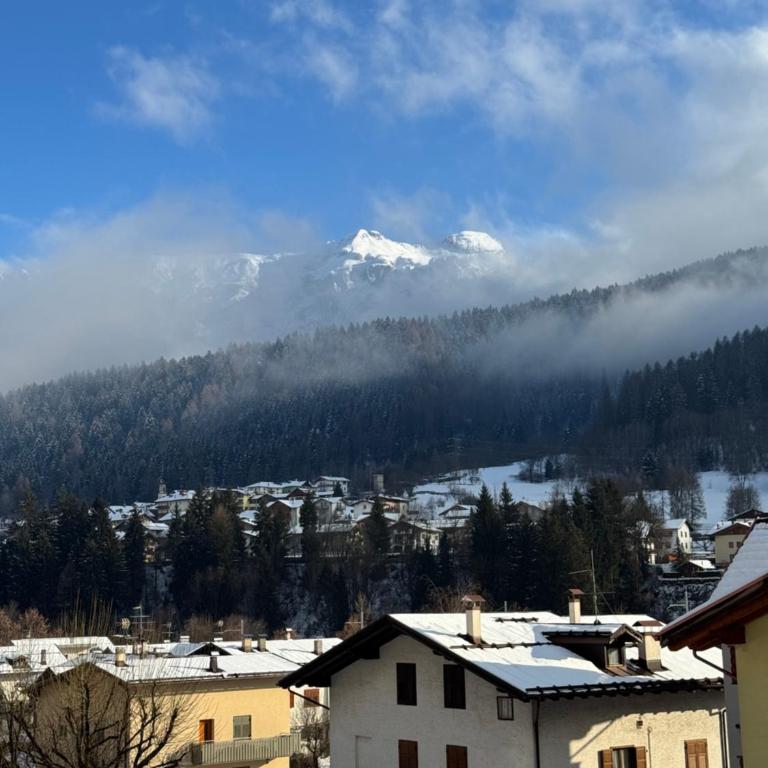 Dolomites Rent - VAL DI SOLE - Standard Apartment - 33