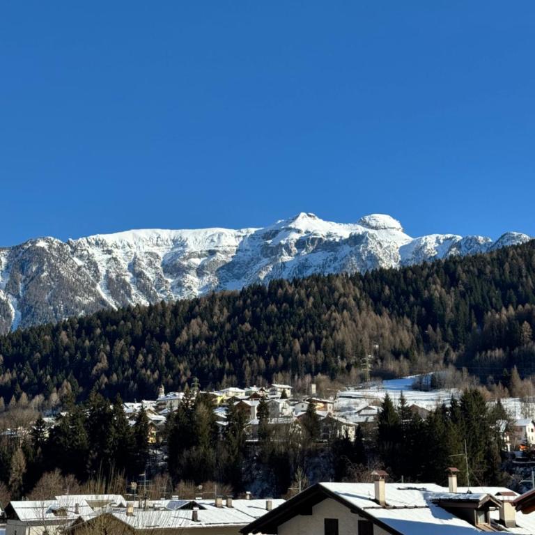 Dolomites Rent - VAL DI SOLE - Standard Apartment - 2