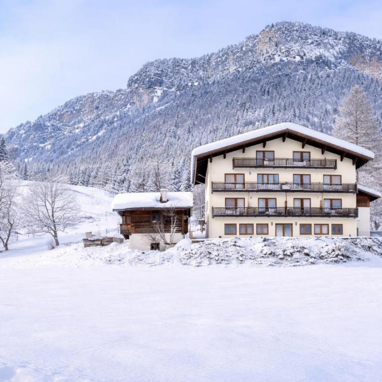 Berghof Haselsberger Appartements - Apartamento con vistas a las montañas - 40