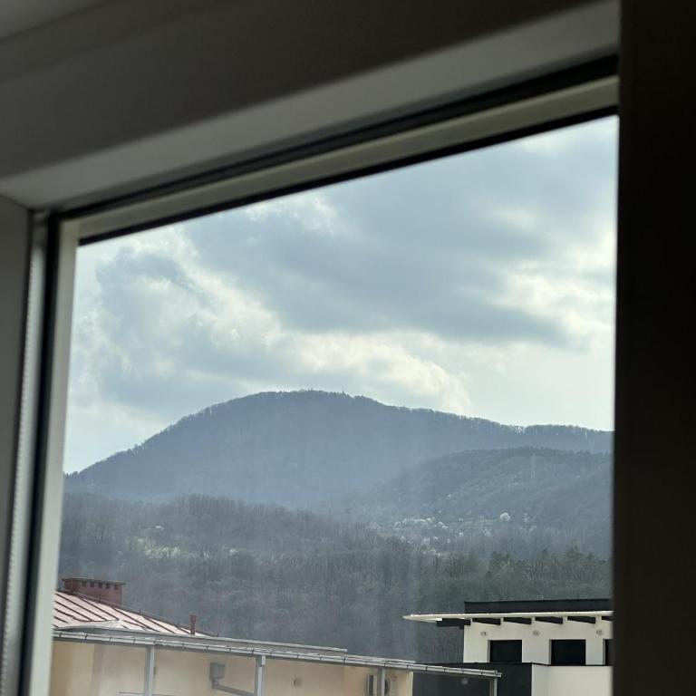 Apartmani Fontana Banja Koviljaca - One-Bedroom Apartment - 13