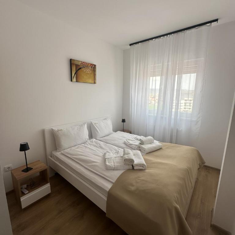 Apartmani Fontana Banja Koviljaca - One-Bedroom Apartment - 6