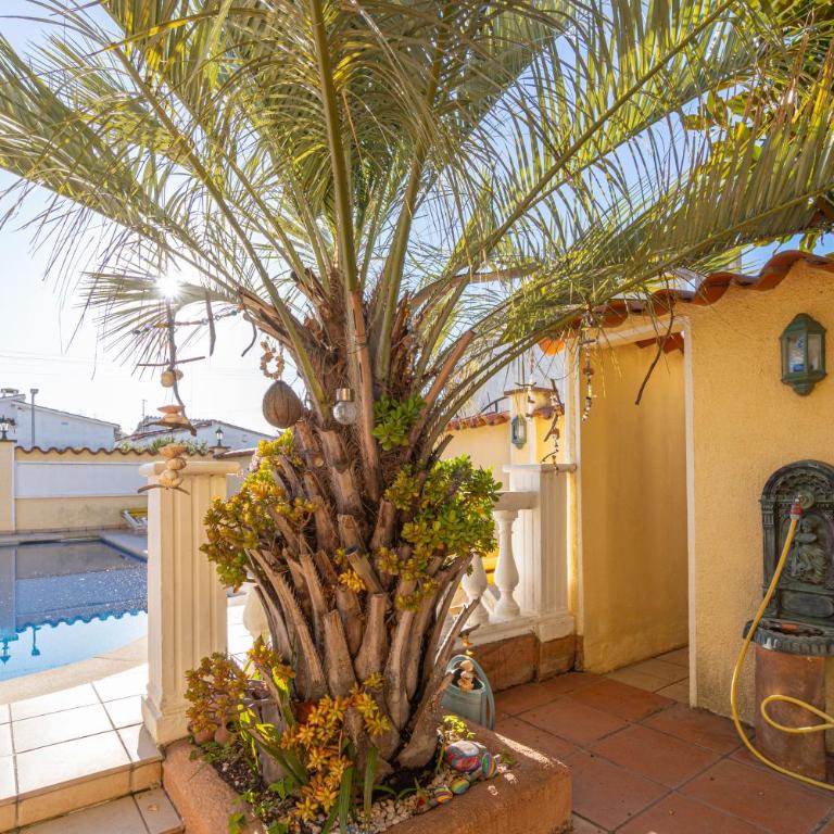 RESIDENCIA ALBERES -Apartamento completo con piscina, barbacoa, parking- B - Apartamento de 2 dormitorios con terraza - 16