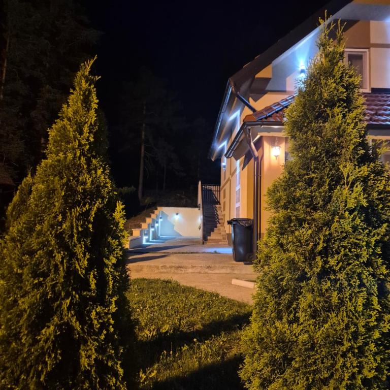 Apartmani MILOSAVLJEVIĆ Divčibare - Apartman sa Pogledom na Planinu - 20