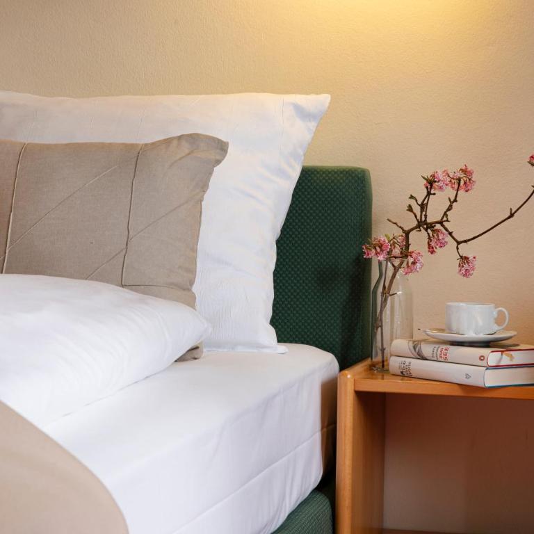 Hotel Biederstein am Englischen Garten - Einzelzimmer - 2