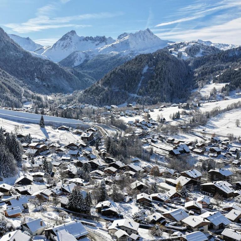 Chalet Hautes Pierres 11 lits idéal grand groupe - Chalet - 36