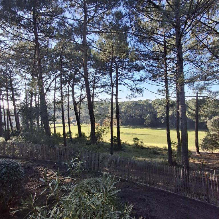 Domaine du Golf Muscadelle - Casa con 3 Camere da Letto - 10