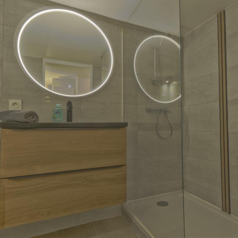 Le Jardin de Ville T2 hyper center Grenoble - One-Bedroom Apartment - 11