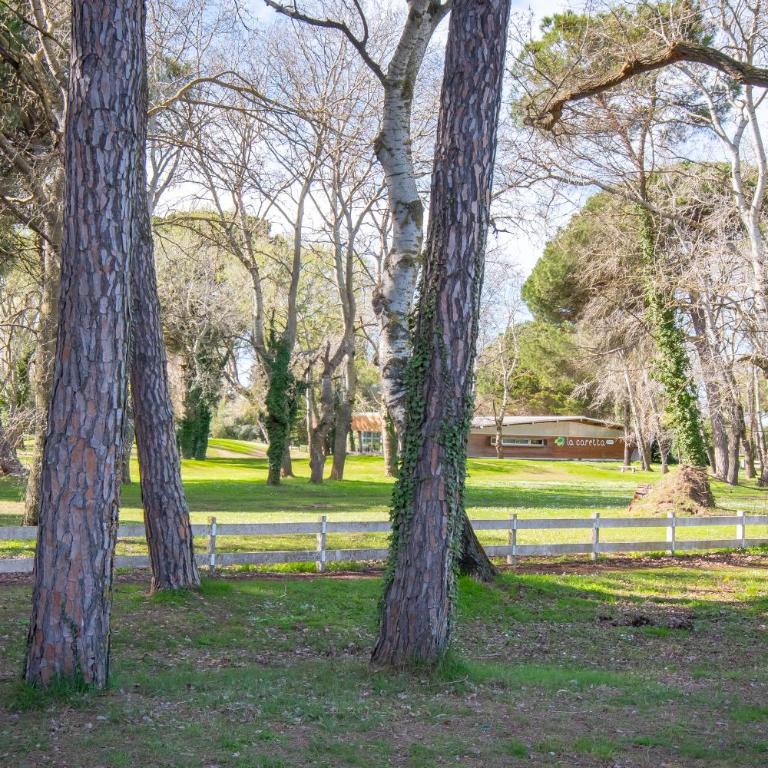 Jardin du Golf - Studio mit Terrasse - 13