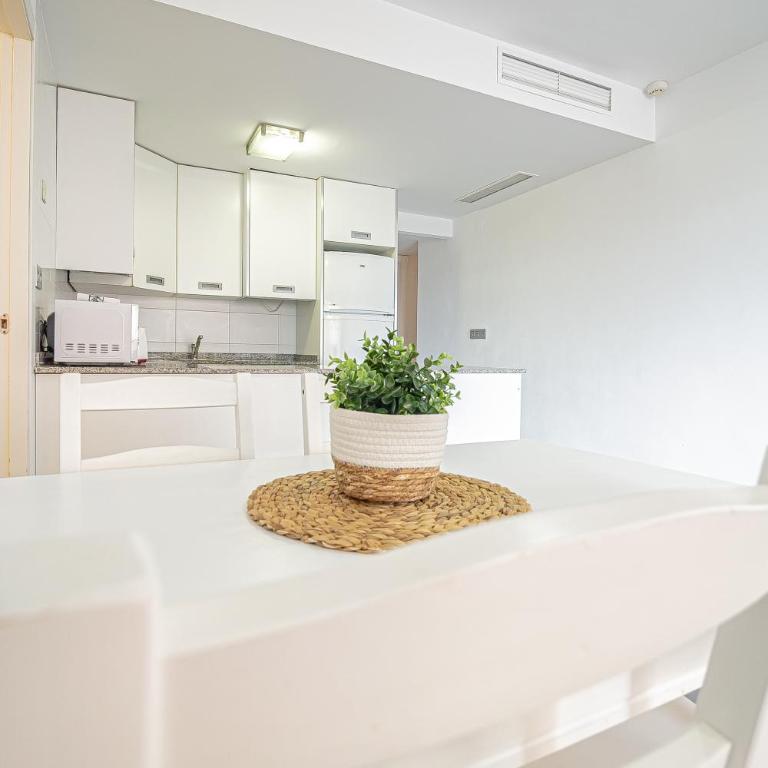 Cactus Beach Oasis - Apartamento junto al Mar La Manga del Mar Menor - Apartamento de 1 dormitorio - 65