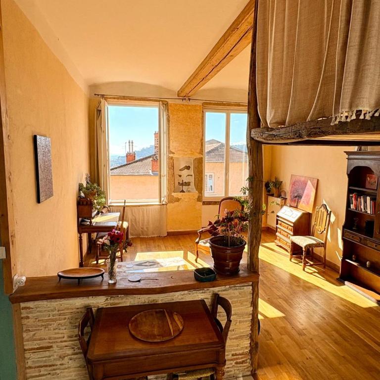 Charming apartment Croix Rousse with a view - Appartement 1 Chambre - 1
