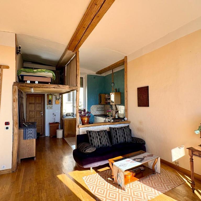 Charming apartment Croix Rousse with a view - Appartement 1 Chambre - 3