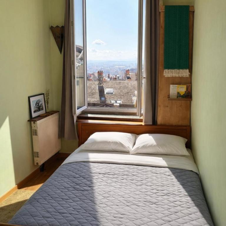 Charming apartment Croix Rousse with a view - Appartement 1 Chambre - 8