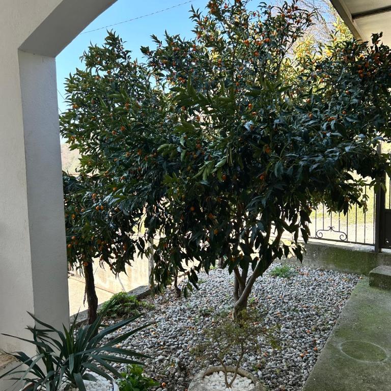 Apartman Buljarica-Bačvice 1 - One-Bedroom Apartment - 21