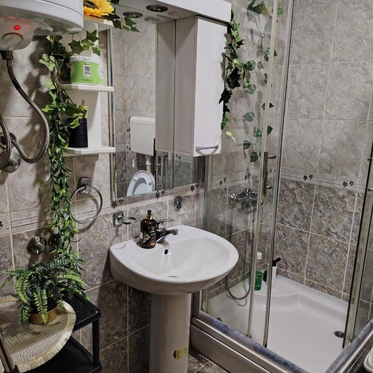 BG apartman - Apartman - 5