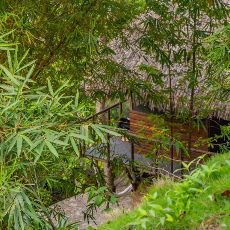 Jardin Secreto Tayrona - Bed in 4-Bed Mixed Dormitory Room - 19