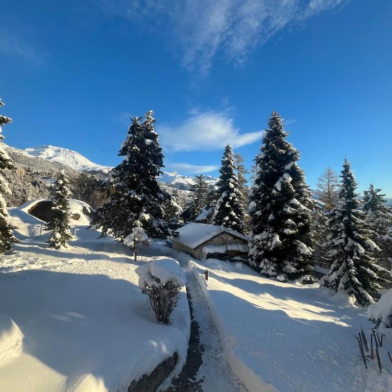 Perle de Bluche - One-Bedroom Apartment - 9