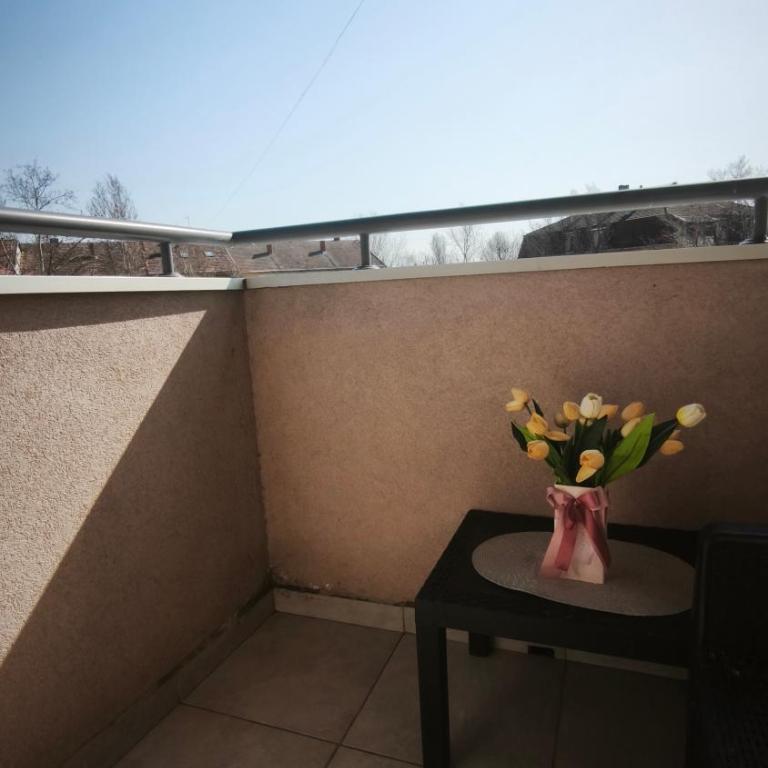 Urban Nest Detelinara FREE public PARKING - Apartman sa 2 Spavaće Sobe - 14