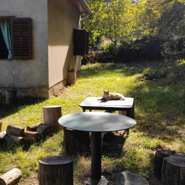 Cozy house Vrbanj, Via Dinarica Trail - Orjen - One-Bedroom House - 18