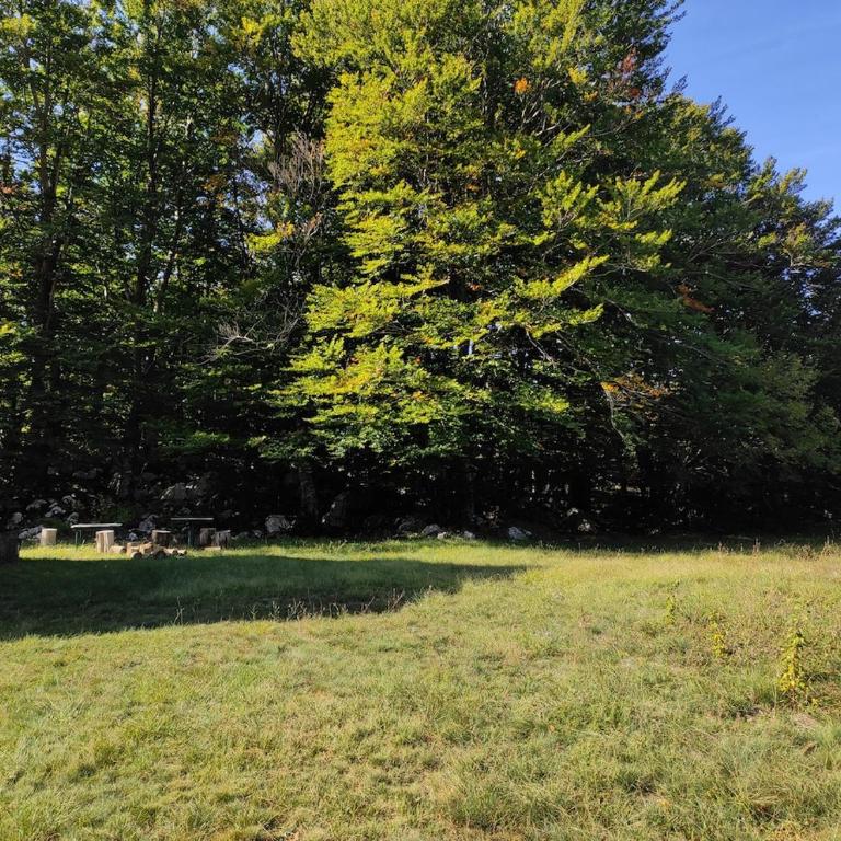 Cozy house Vrbanj, Via Dinarica Trail - Orjen - One-Bedroom House - 23