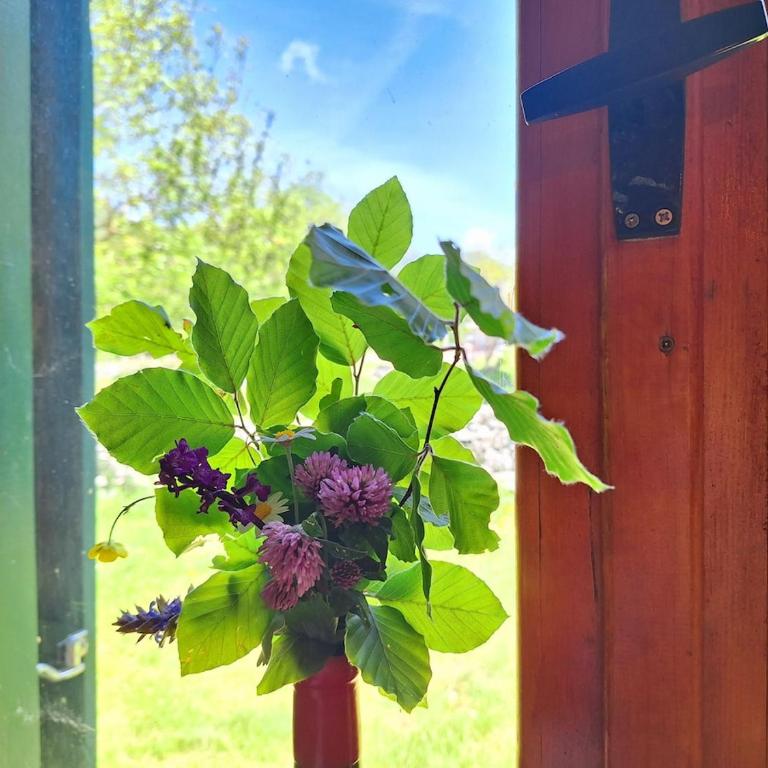 Cozy house Vrbanj, Via Dinarica Trail - Orjen - One-Bedroom House - 24