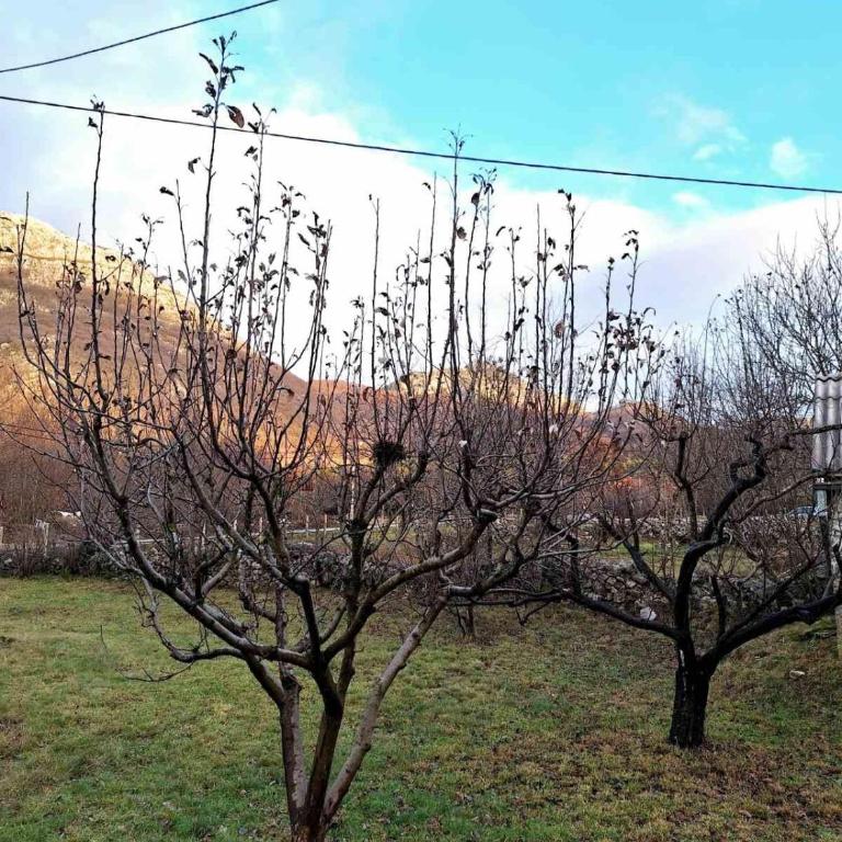 Cozy house Vrbanj, Via Dinarica Trail - Orjen - One-Bedroom House - 27
