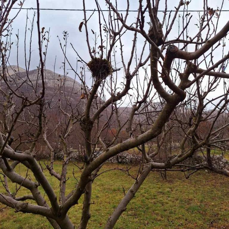Cozy house Vrbanj, Via Dinarica Trail - Orjen - One-Bedroom House - 28