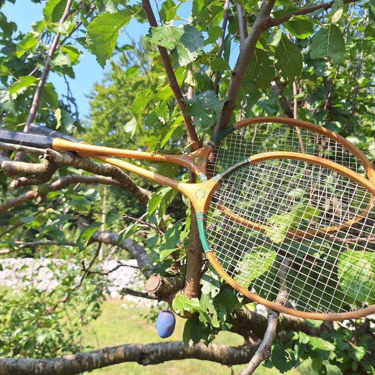 Cozy house Vrbanj, Via Dinarica Trail - Orjen - One-Bedroom House - 32