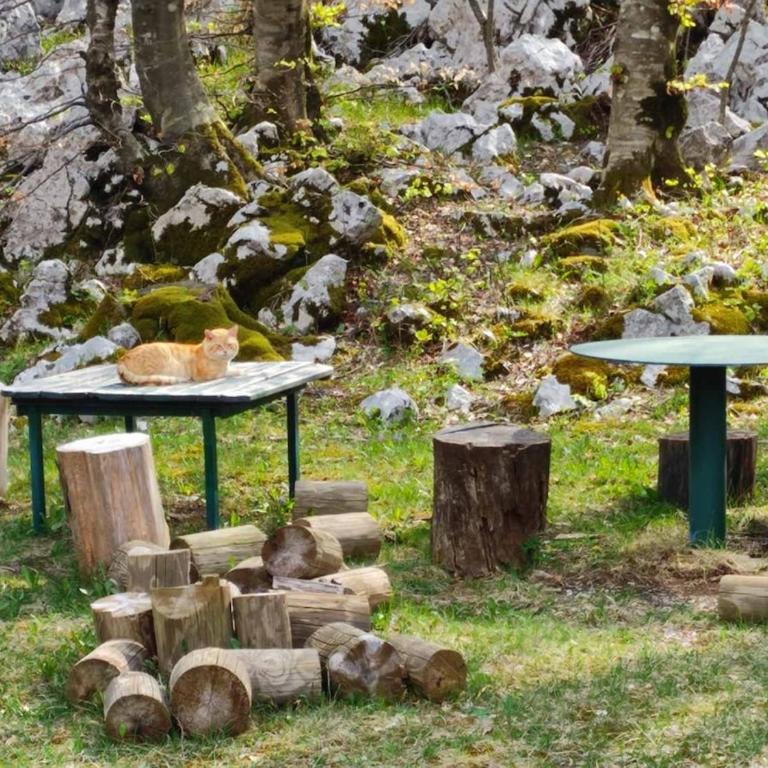 Cozy house Vrbanj, Via Dinarica Trail - Orjen - One-Bedroom House - 35