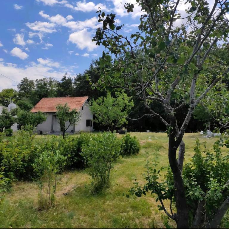 Cozy house Vrbanj, Via Dinarica Trail - Orjen - One-Bedroom House - 59