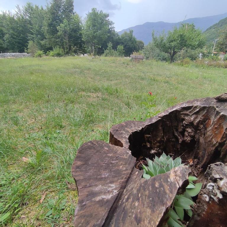 Cozy house Vrbanj, Via Dinarica Trail - Orjen - One-Bedroom House - 67