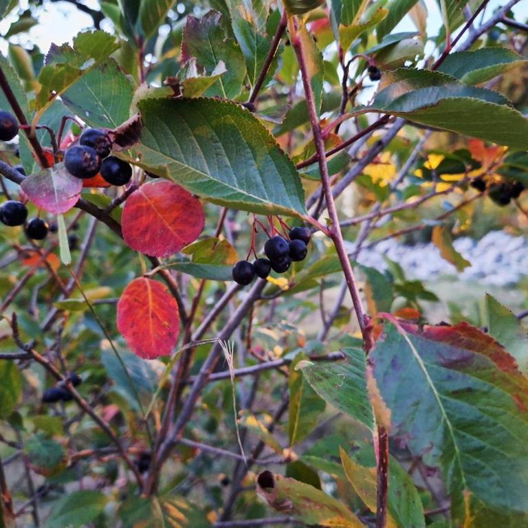 Cozy house Vrbanj, Via Dinarica Trail - Orjen - One-Bedroom House - 75