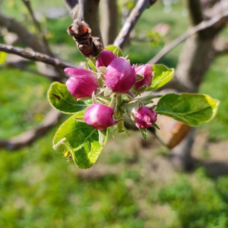 Cozy house Vrbanj, Via Dinarica Trail - Orjen - One-Bedroom House - 80