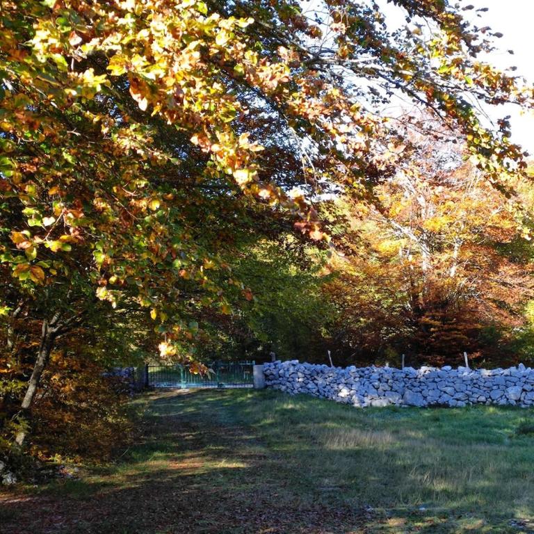 Cozy house Vrbanj, Via Dinarica Trail - Orjen - One-Bedroom House - 81