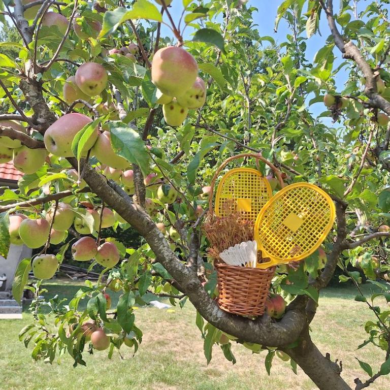 Cozy house Vrbanj, Via Dinarica Trail - Orjen - One-Bedroom House - 88