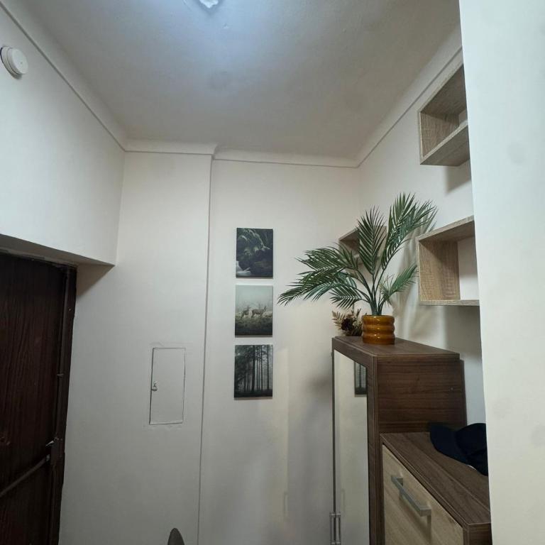 Cozy 2-room apartment in a quiet neighborhood - One-Bedroom Apartment - 37