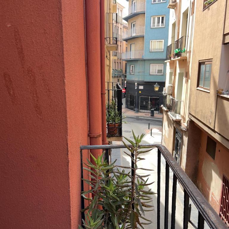 Casa Cedro historia y confort parking gratuito - Apartamento de 2 dormitorios - 16