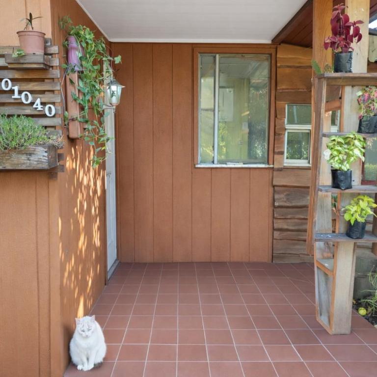 Casa Chill - One-Bedroom Apartment - 10